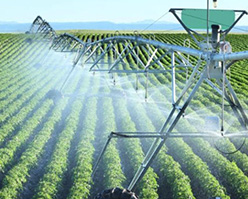 SGE Irrigation Image